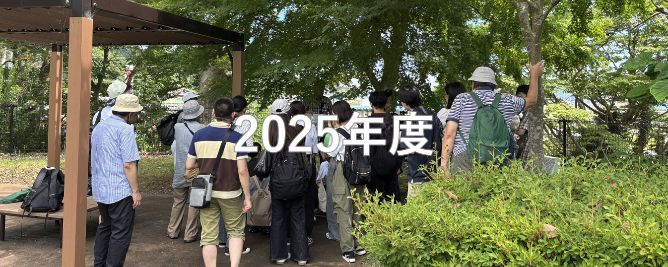 2025年度